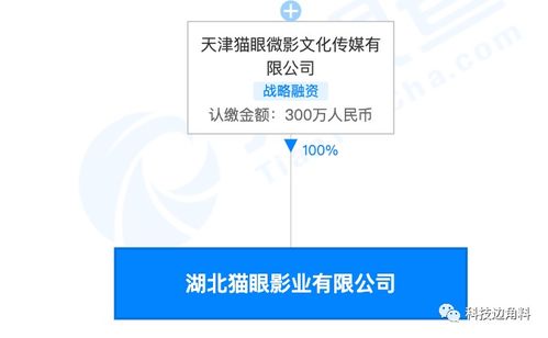貓眼湖北影業(yè)公司成立 注冊(cè)資本300萬，加速?gòu)V播電視節(jié)目制作布局